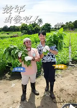 韩国综艺周末长桌的档案横版剧照